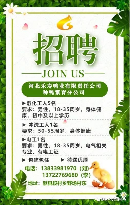 英么德最新招聘啟事，小蟲網(wǎng)人才招募之旅